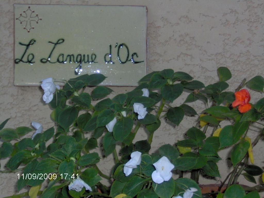 Hotel Le Langue D'Oc Agde Exterior foto